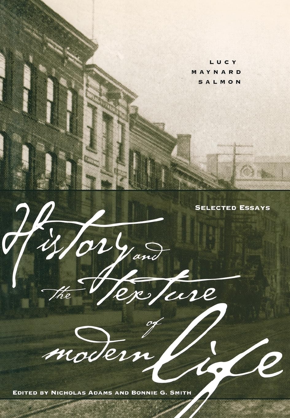 History and the Texture of Modern Life: Selected Essays,New