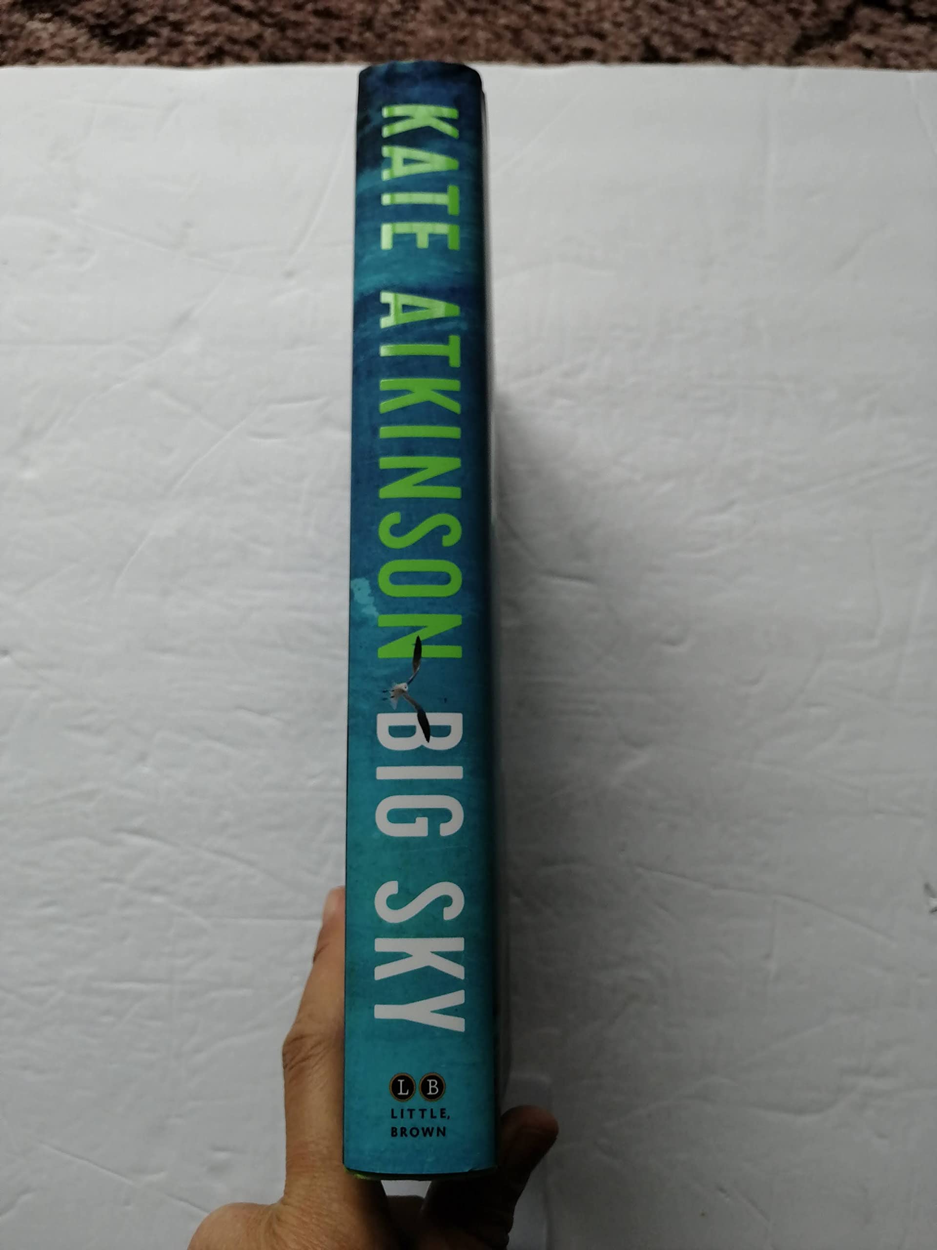 Big Sky (Jackson Brodie): A Novel (Jackson Brodie) (Jackson Brodie, 5)