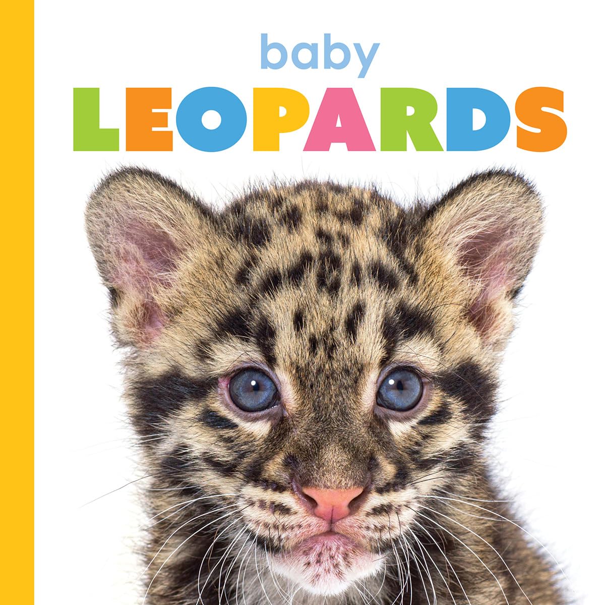 BABY LEOPARDS