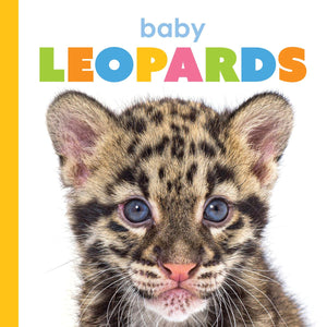 BABY LEOPARDS