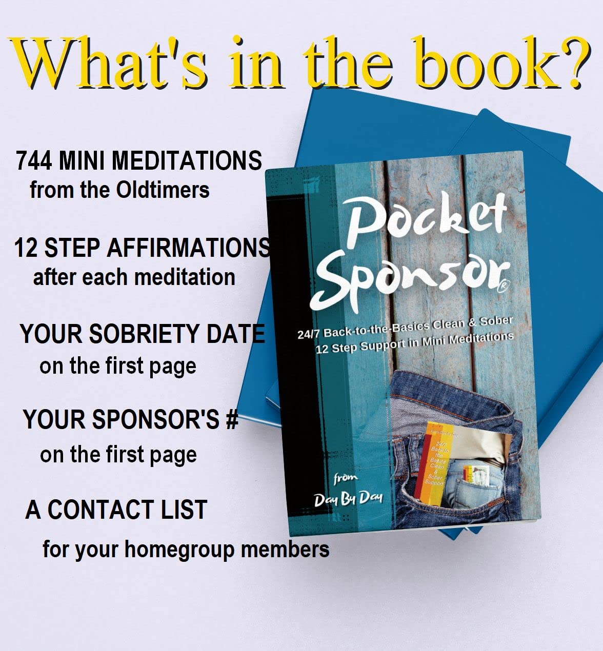 Pocket Sponsor Mini Meditations: 24/7 Clean & Sober 12 Step Support Guide