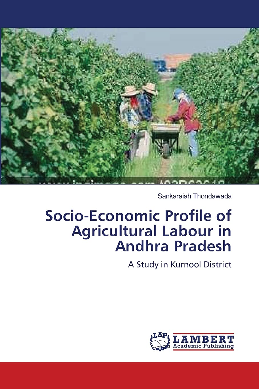 SocioEconomic Profile of Agricultural Labour in Andhra Pradesh: A Study in Kurnool District,Used
