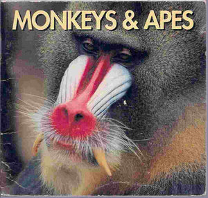 Monkeys & Apes,Used