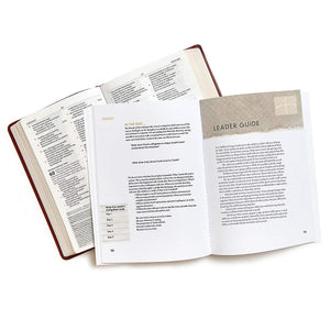 Jonah: Navigating A Life Interrupted (Bible Study Book)