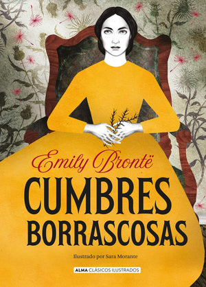 Cumbres Borrascosas (Clsicos ilustrados) (Spanish Edition),Used