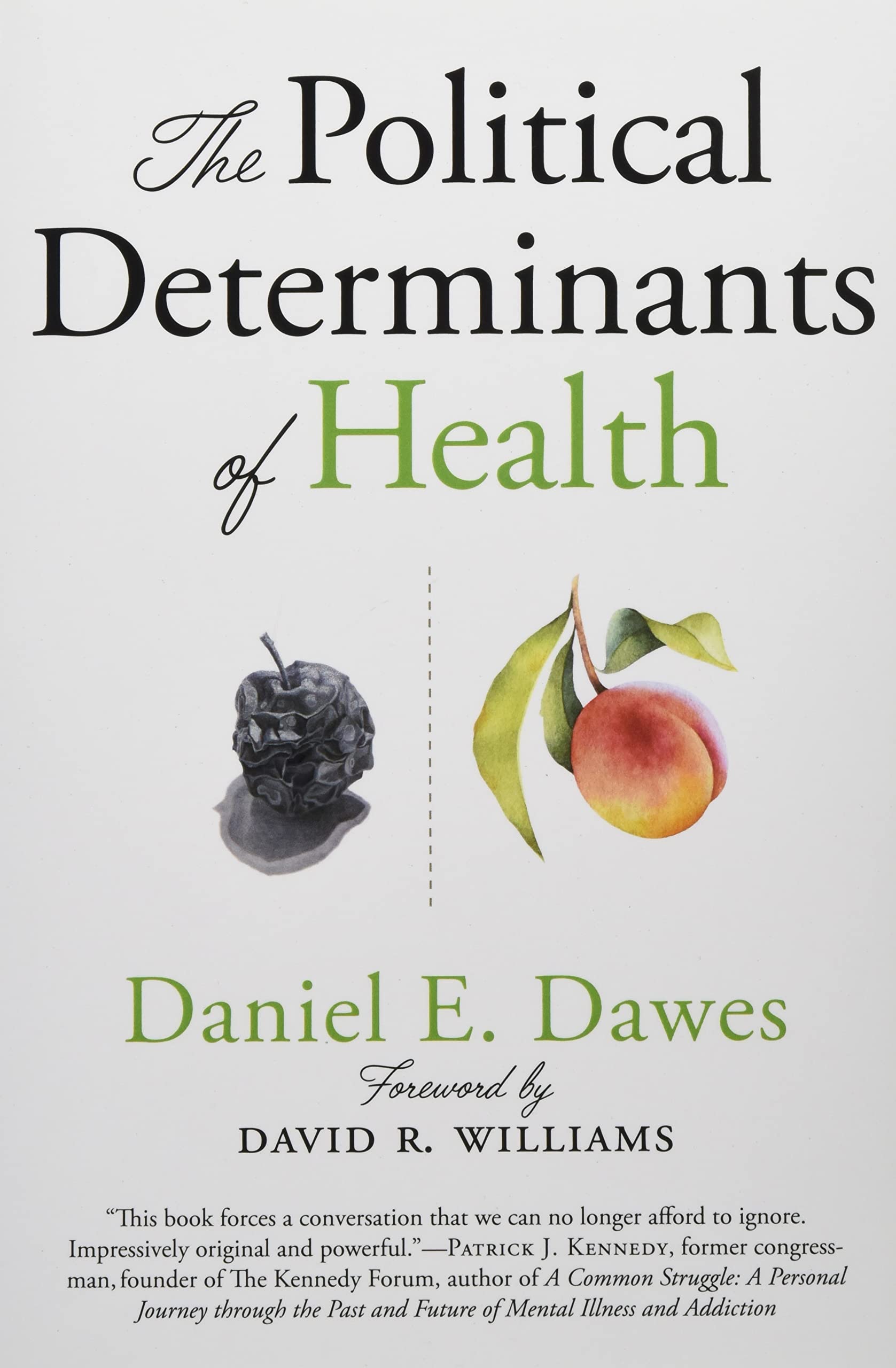 The Political Determinants Of Health