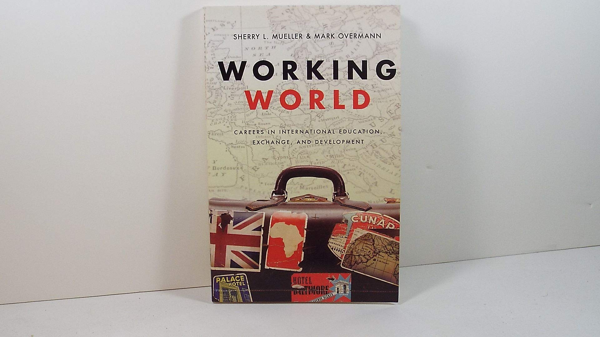 Working World: Careers in International Education, Exchange, and Development,Used