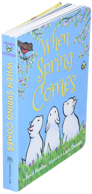 When Spring Comes Board Book: An Easter And Springtime Book For Kids,Used