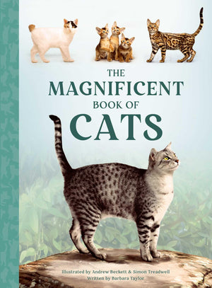 The Magnificent Book Of Cats