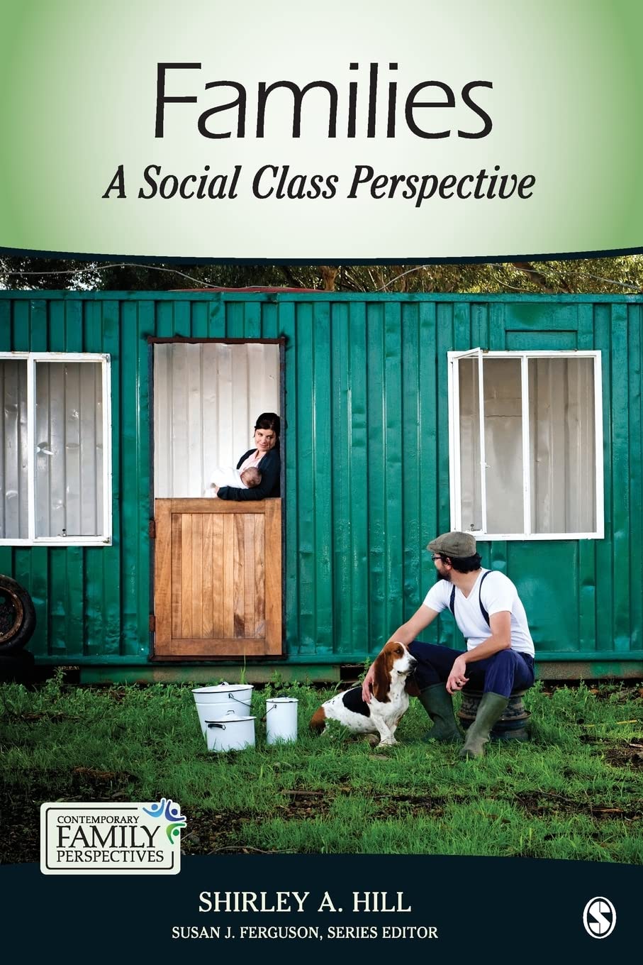 Families: A Social Class Perspective (Contemporary Family Perspectives (CFP)),Used