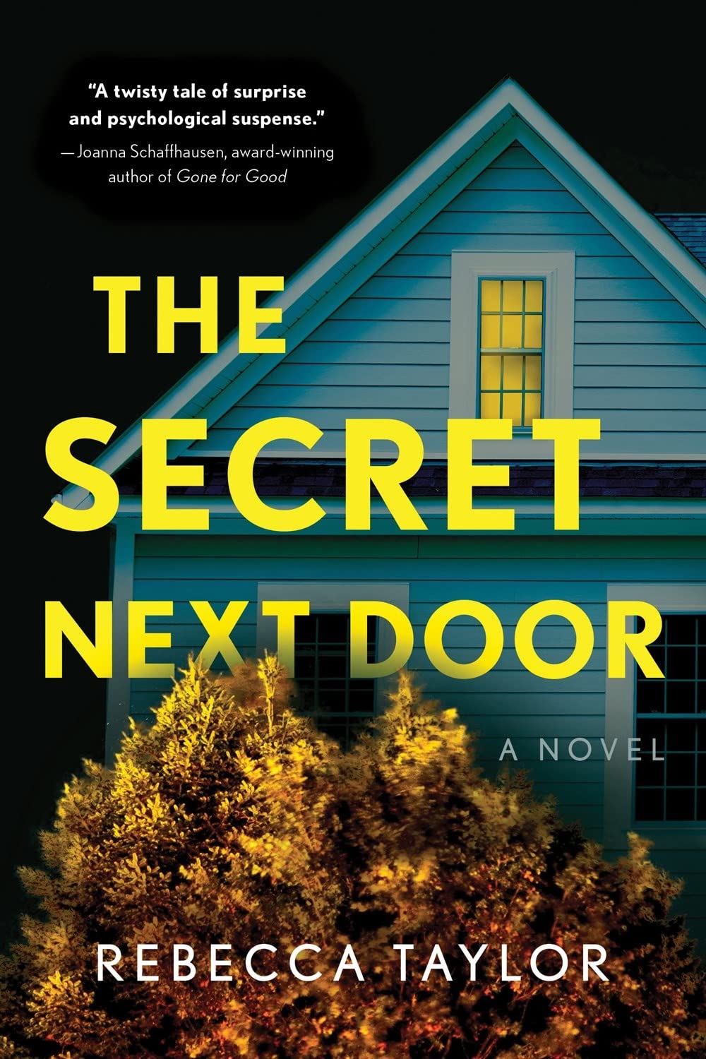 The Secret Next Door: A Novel,Used