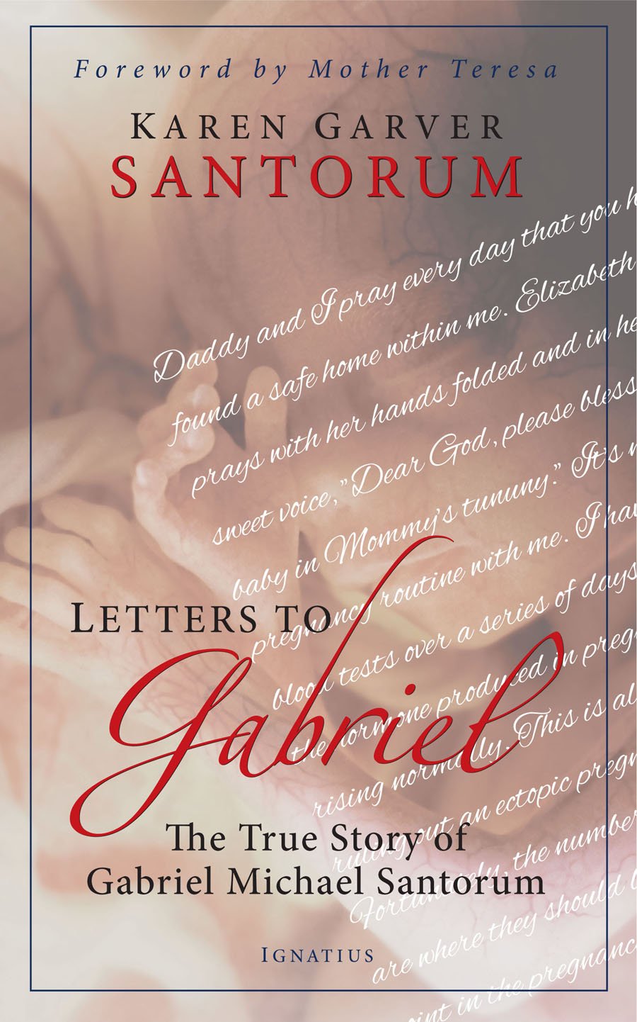 Letters to Gabriel: The True Story of Gabriel Michael Santorum,New