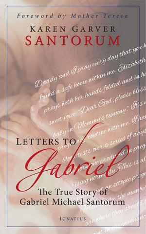Letters to Gabriel: The True Story of Gabriel Michael Santorum,Used