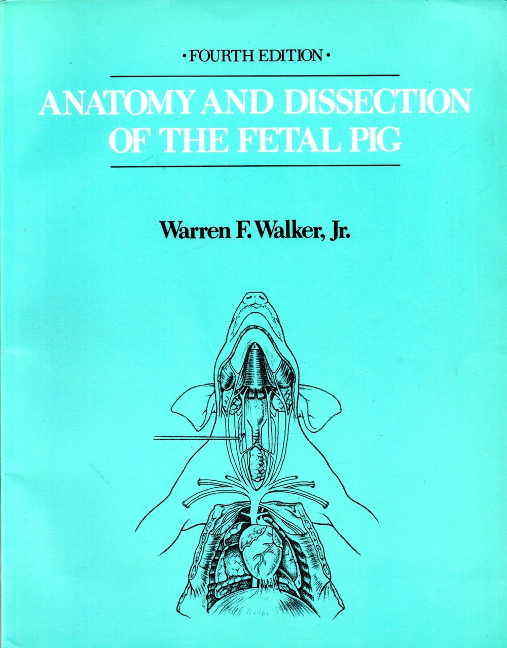 Anatomy and Dissection of the Fetal Pig,Used