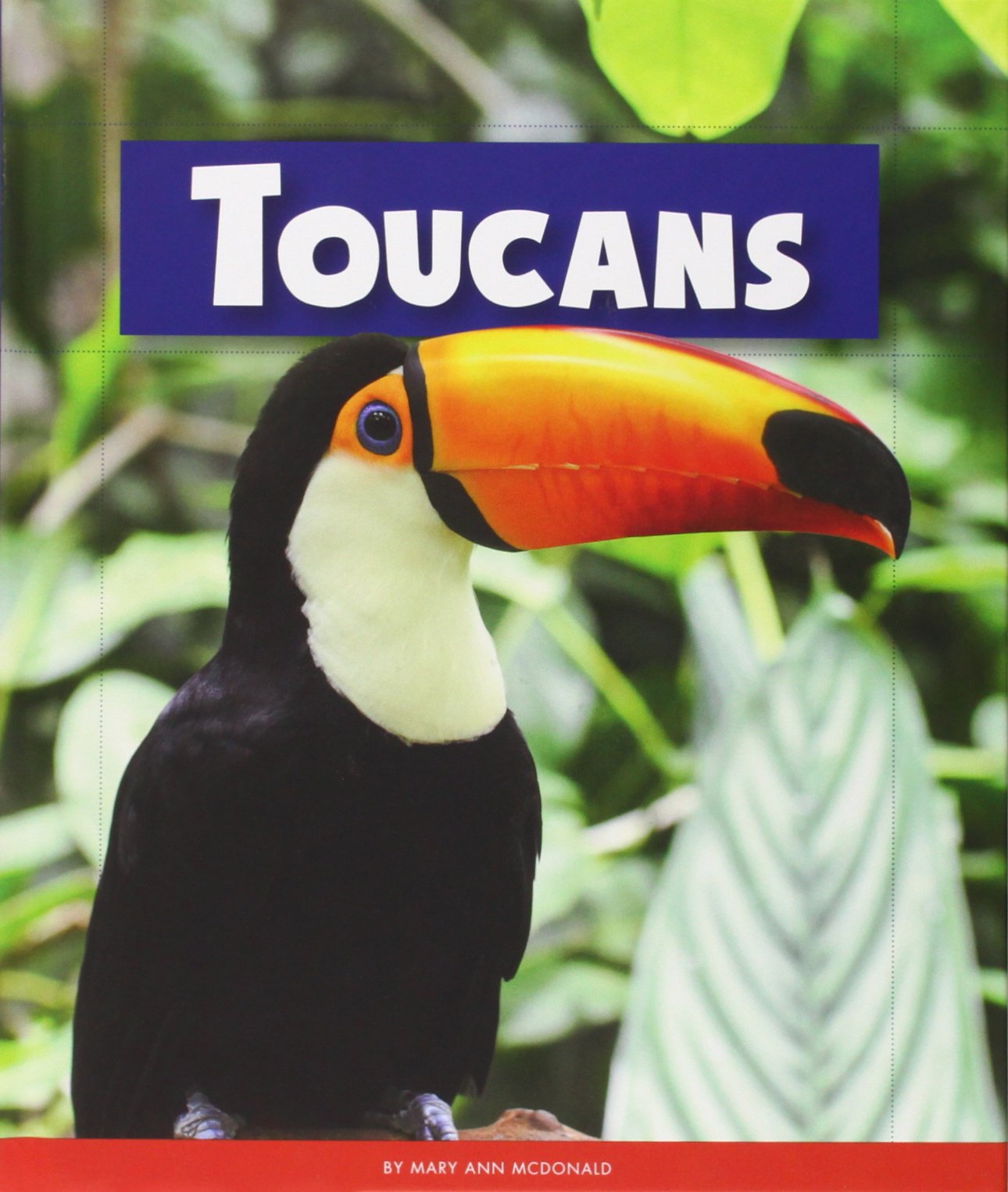 Toucans (Animals of the Rainforest),Used