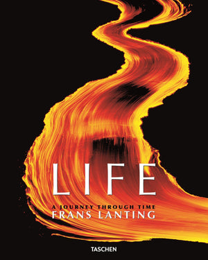 Life: A Journey Through Time