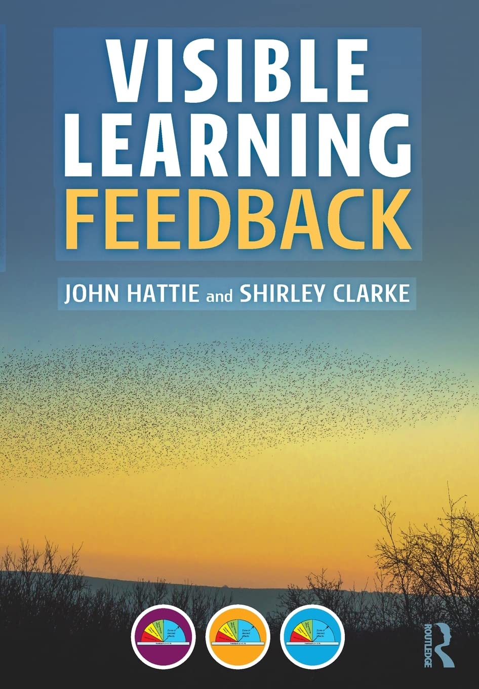 Visible Learning: Feedback,Used
