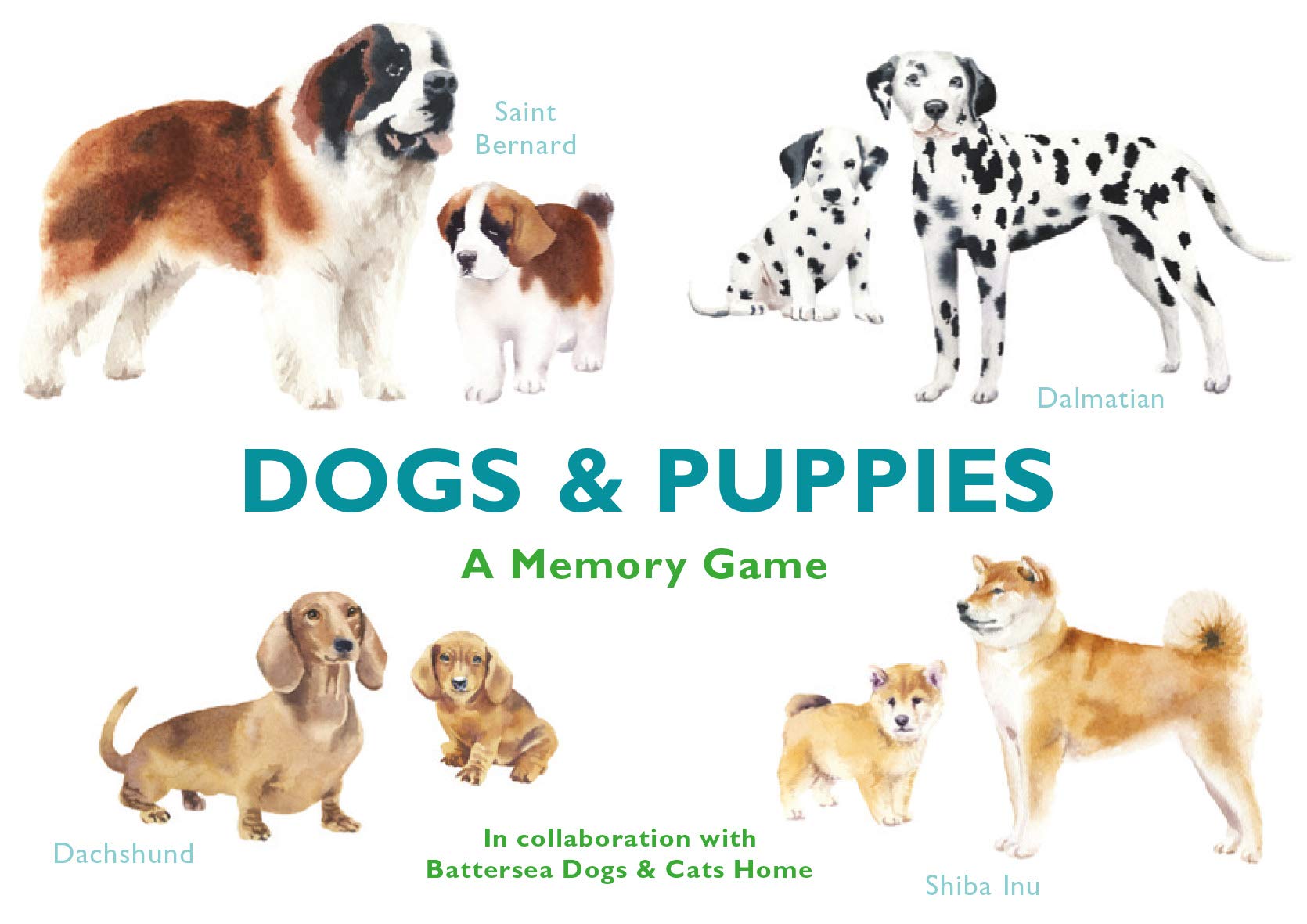 Dogs & Puppies: A Memory Game,Used