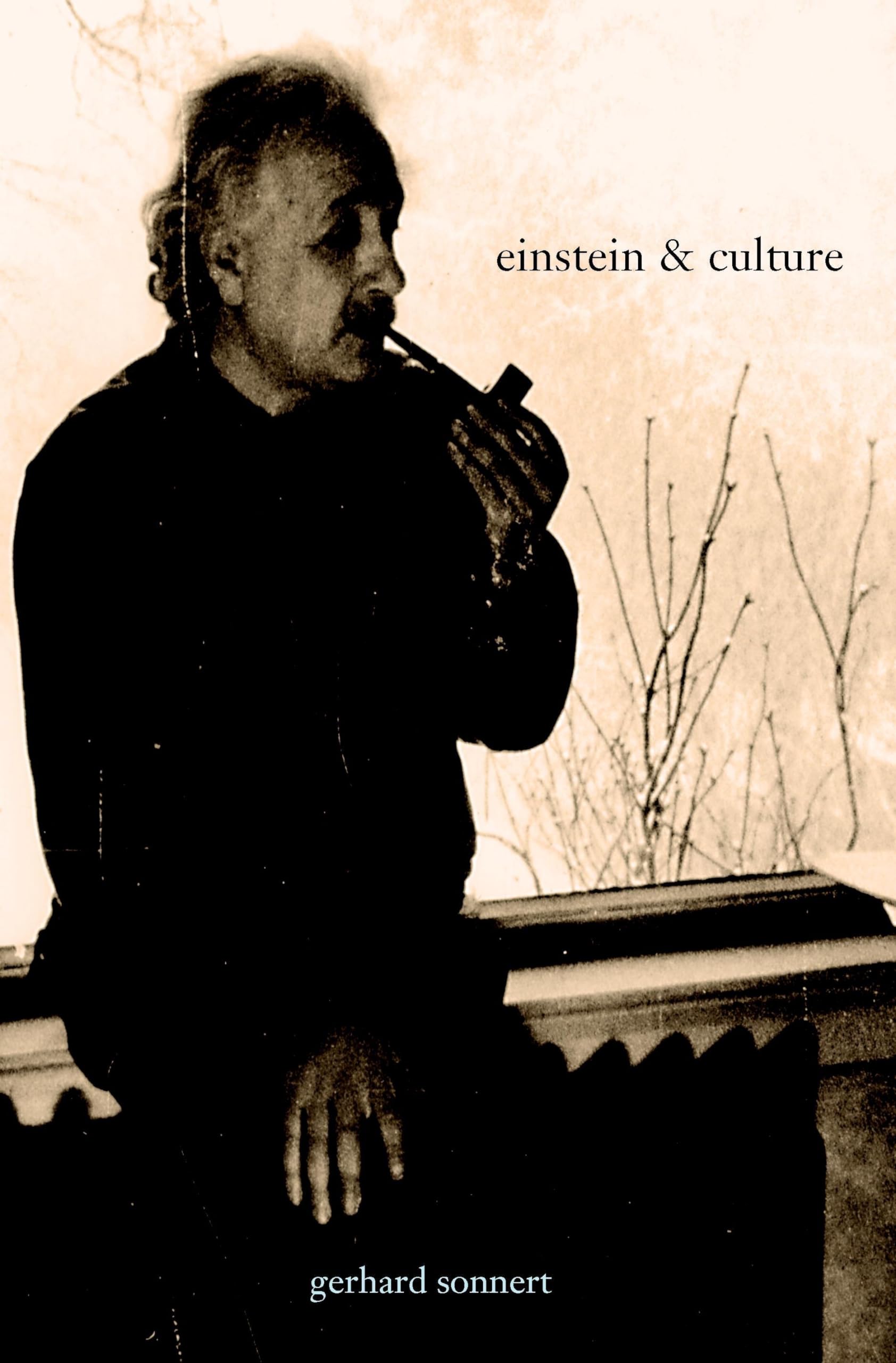 Einstein And Culture (German Studies),Used