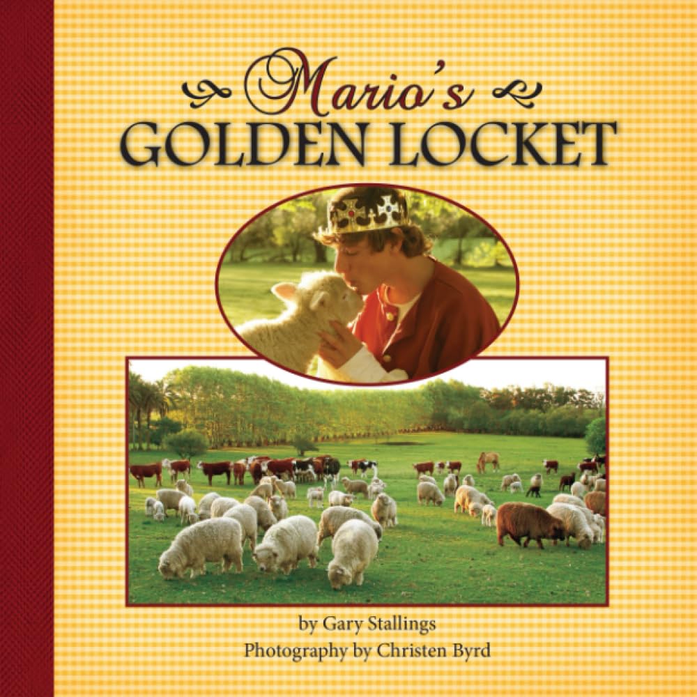 Mario's Golden Locket,Used