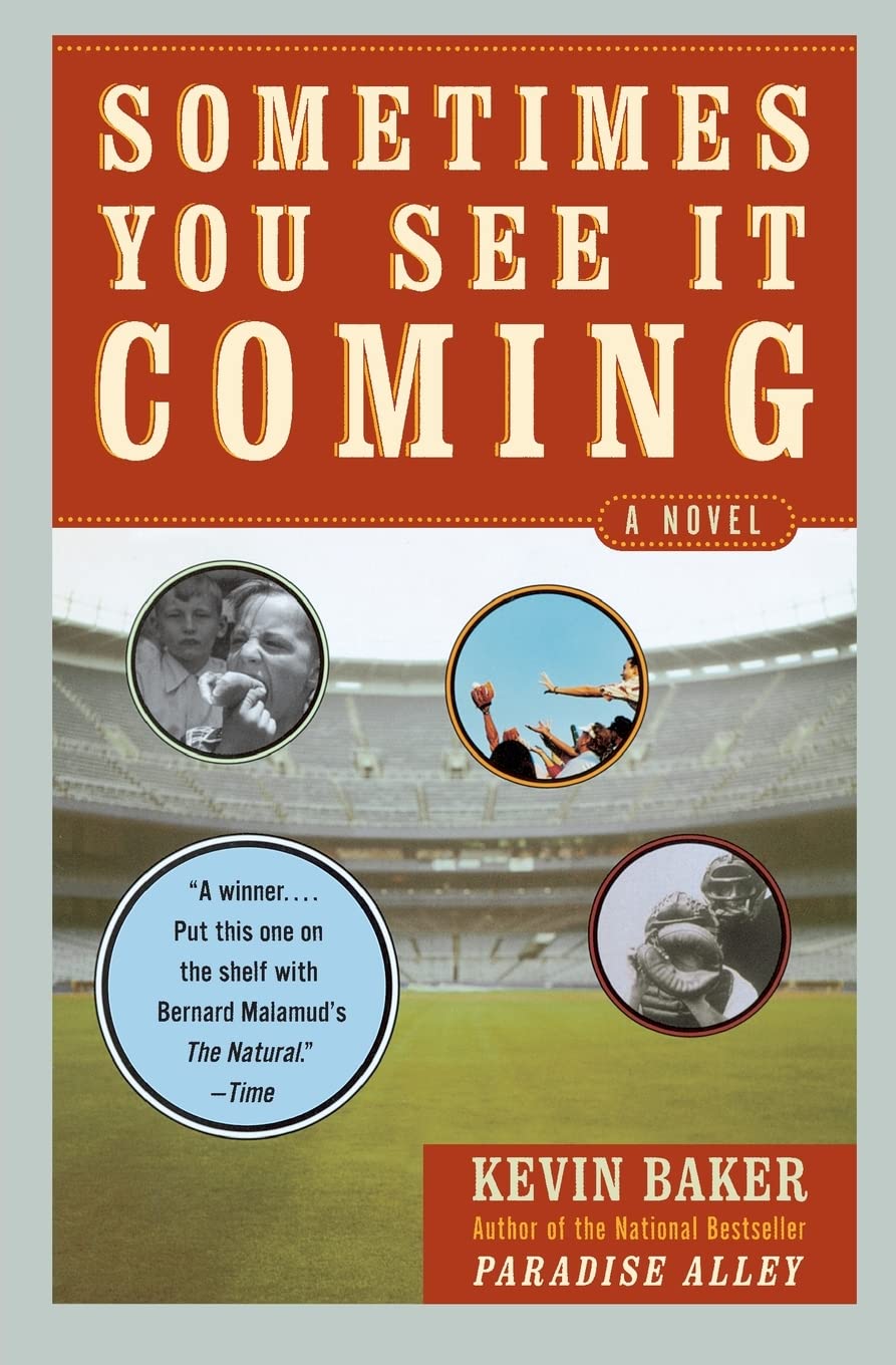 Sometimes You See It Coming: A Novel,Used