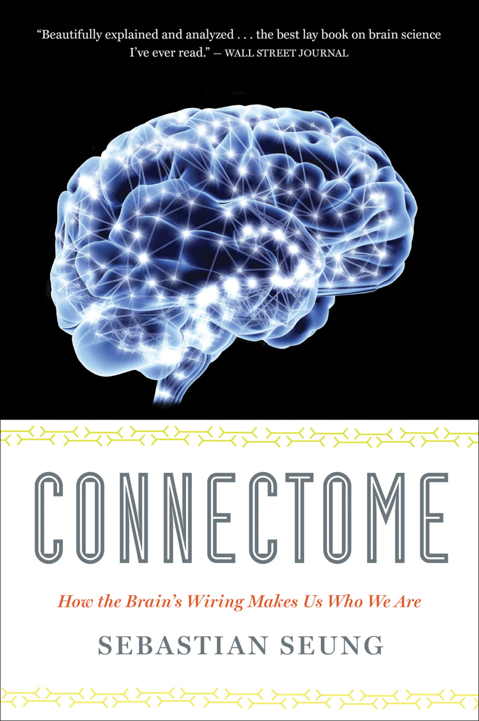 Connectome: How the Brain's Wiring Makes Us Who We Are,Used