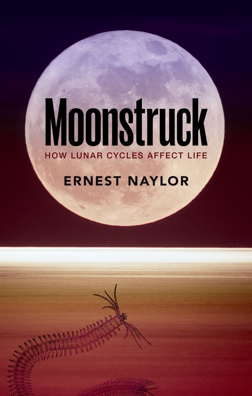 Moonstruck: How lunar cycles affect life,Used