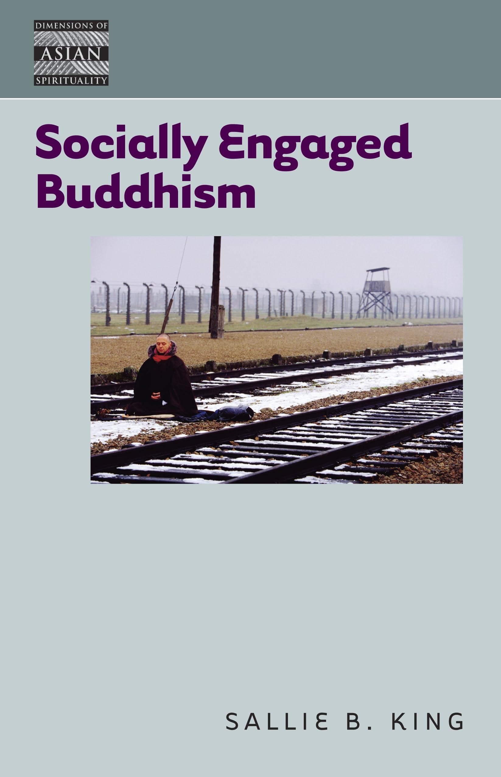 Socially Engaged Buddhism (Dimensions of Asian Spirituality, 13),Used