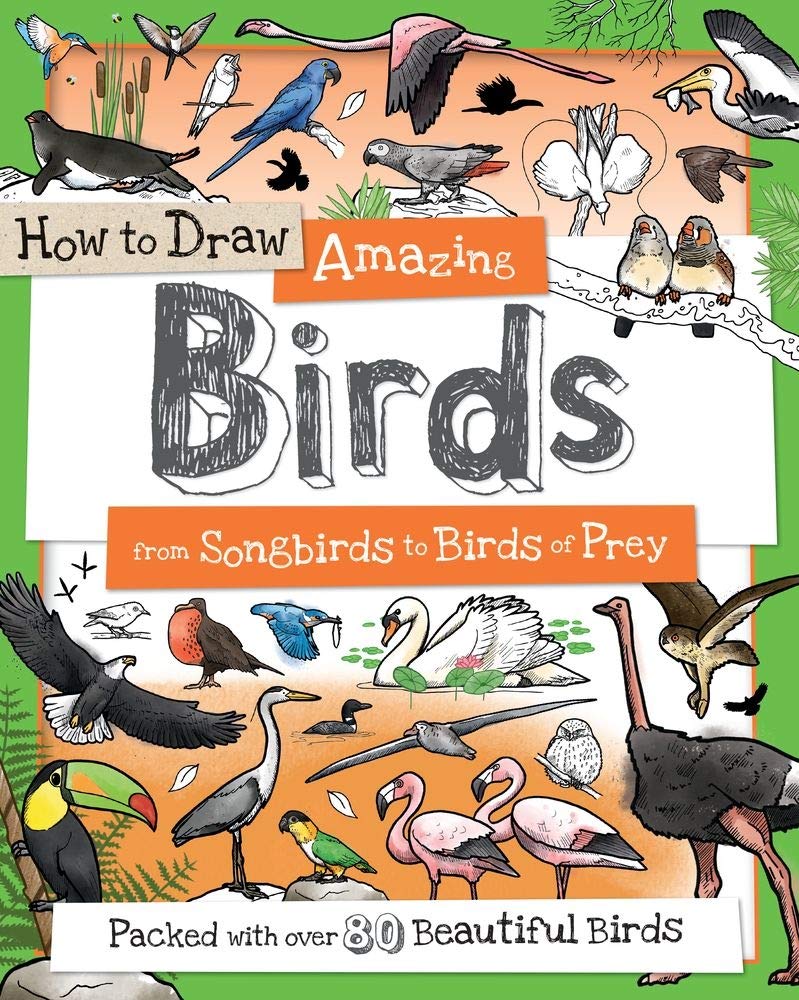 How to Draw Amazing Birds: From Songbirds to Birds of Prey (How to Draw Series),Used
