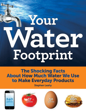 Your Water Footprint: The Shocking Facts About How Much Water We Use to Make Everyday Products