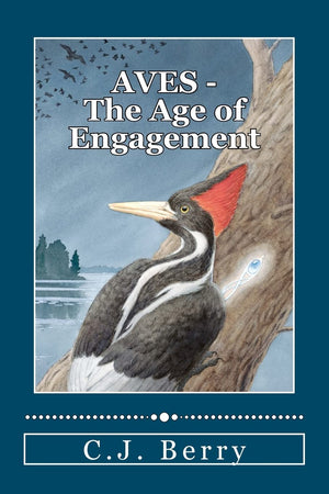 Aves  The Age Of Engagement,Used