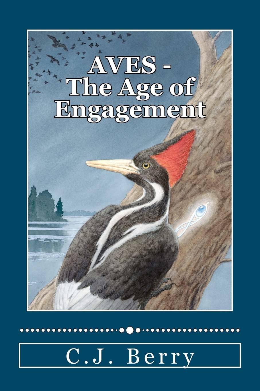 Aves  The Age Of Engagement,Used
