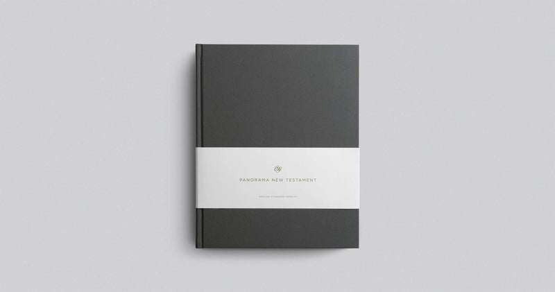ESV Panorama New Testament (Cloth over Board, Gray),Used