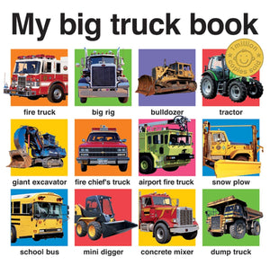 My Big Truck Book (My Big Board Books),New