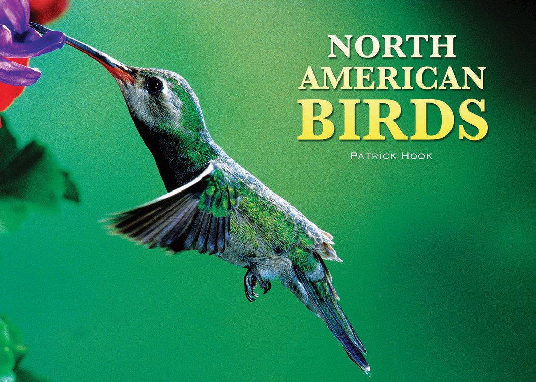 North American Birds,Used