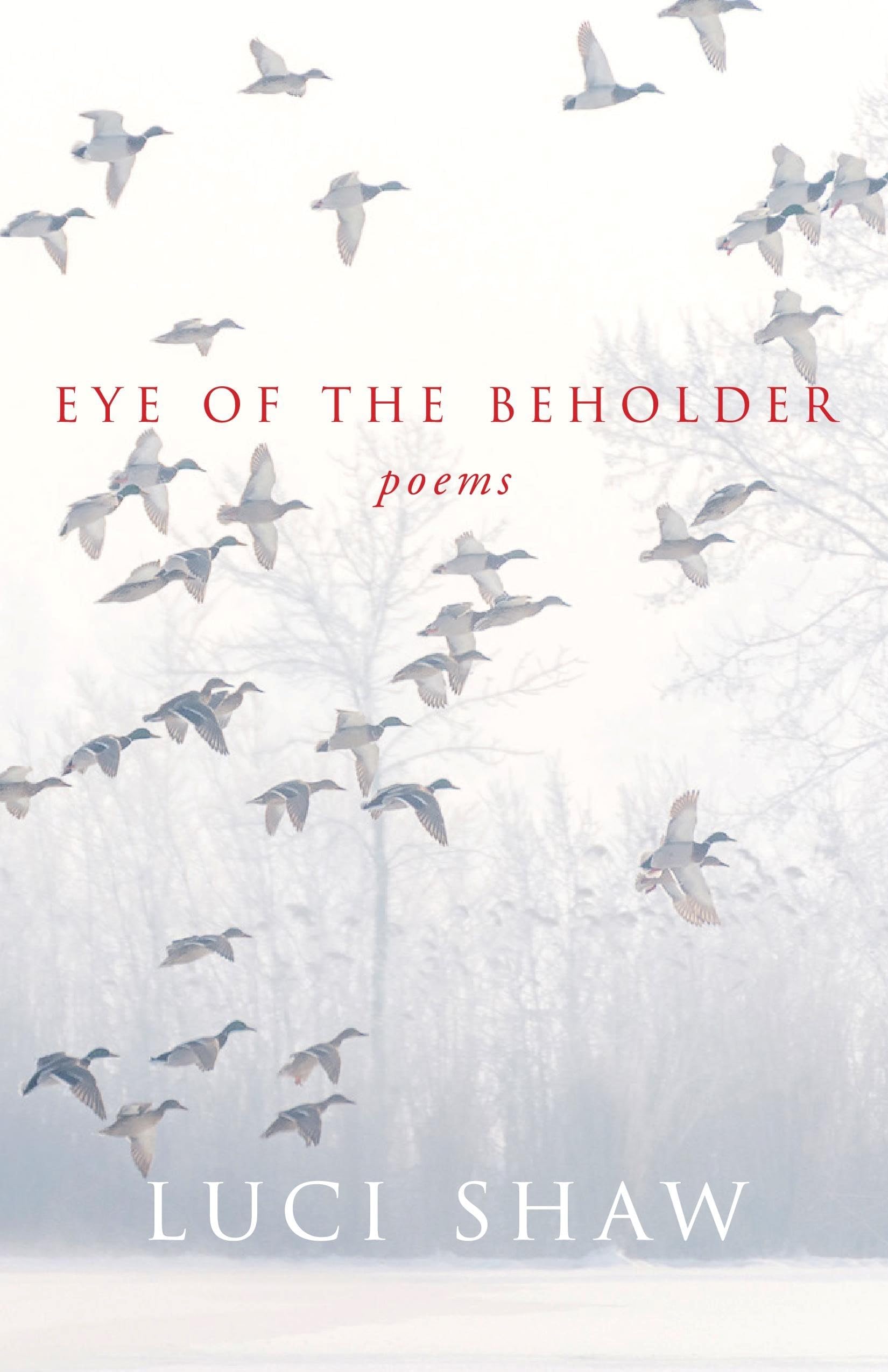 Eye of the Beholder (Paraclete Poetry),Used