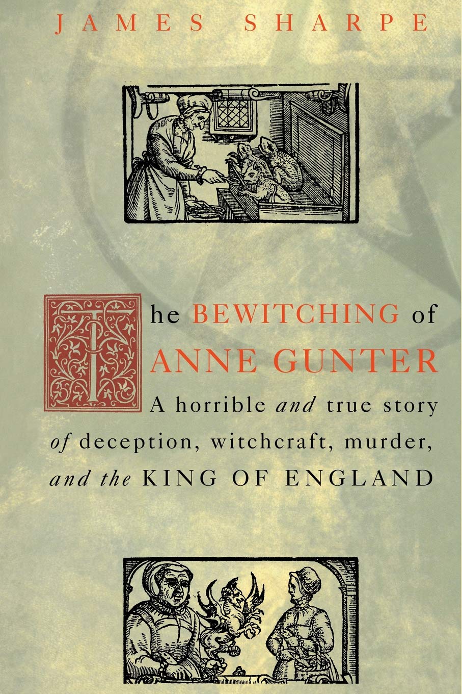 The Bewitching of Anne Gunter,Used