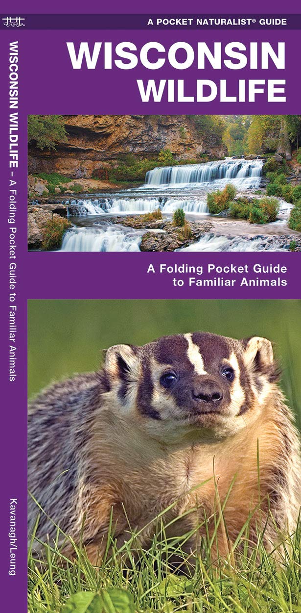 Wisconsin Wildlife: A Folding Pocket Guide to Familiar Animals (Wildlife and Nature Identification),Used