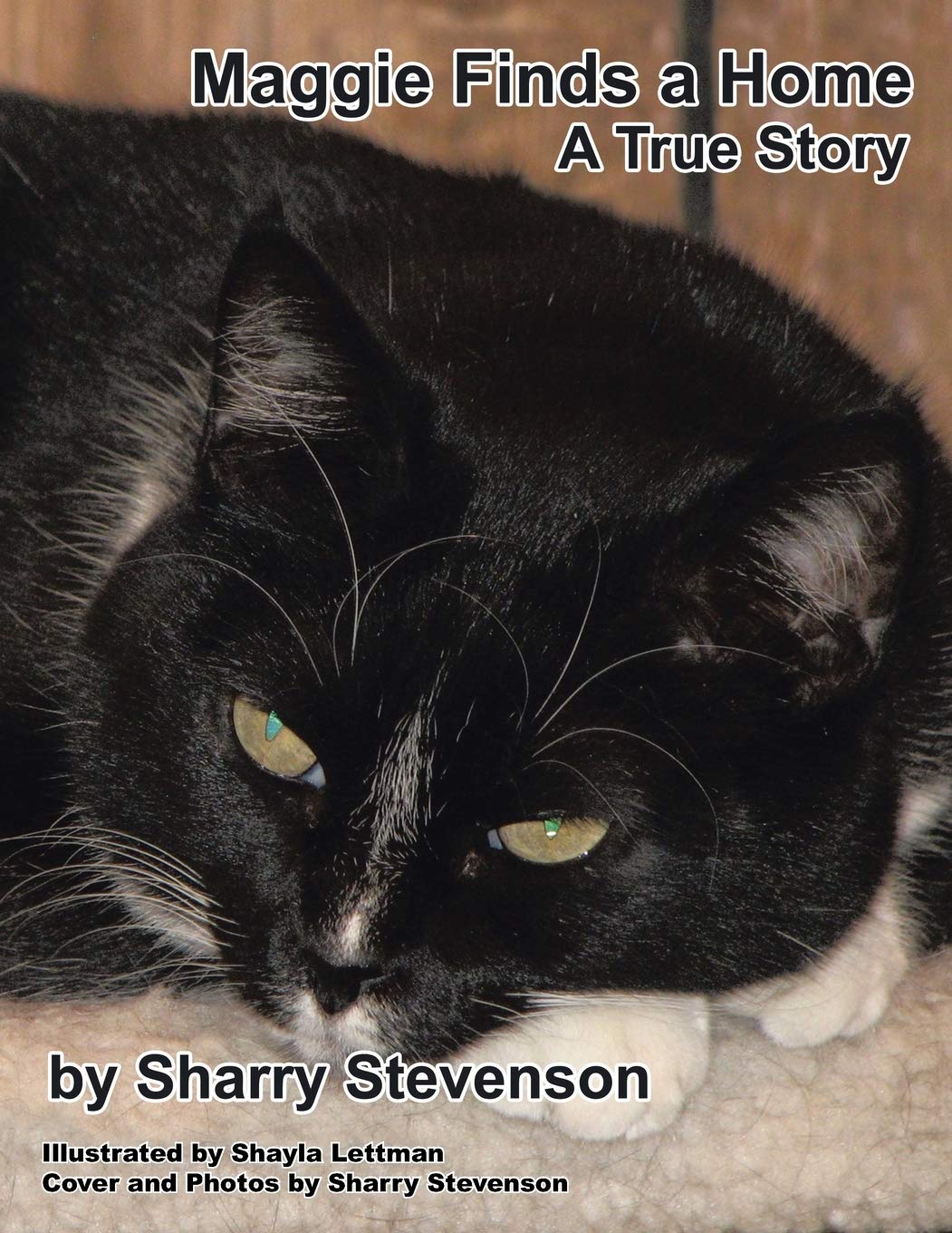 Maggie Finds A Home: A True Story,Used