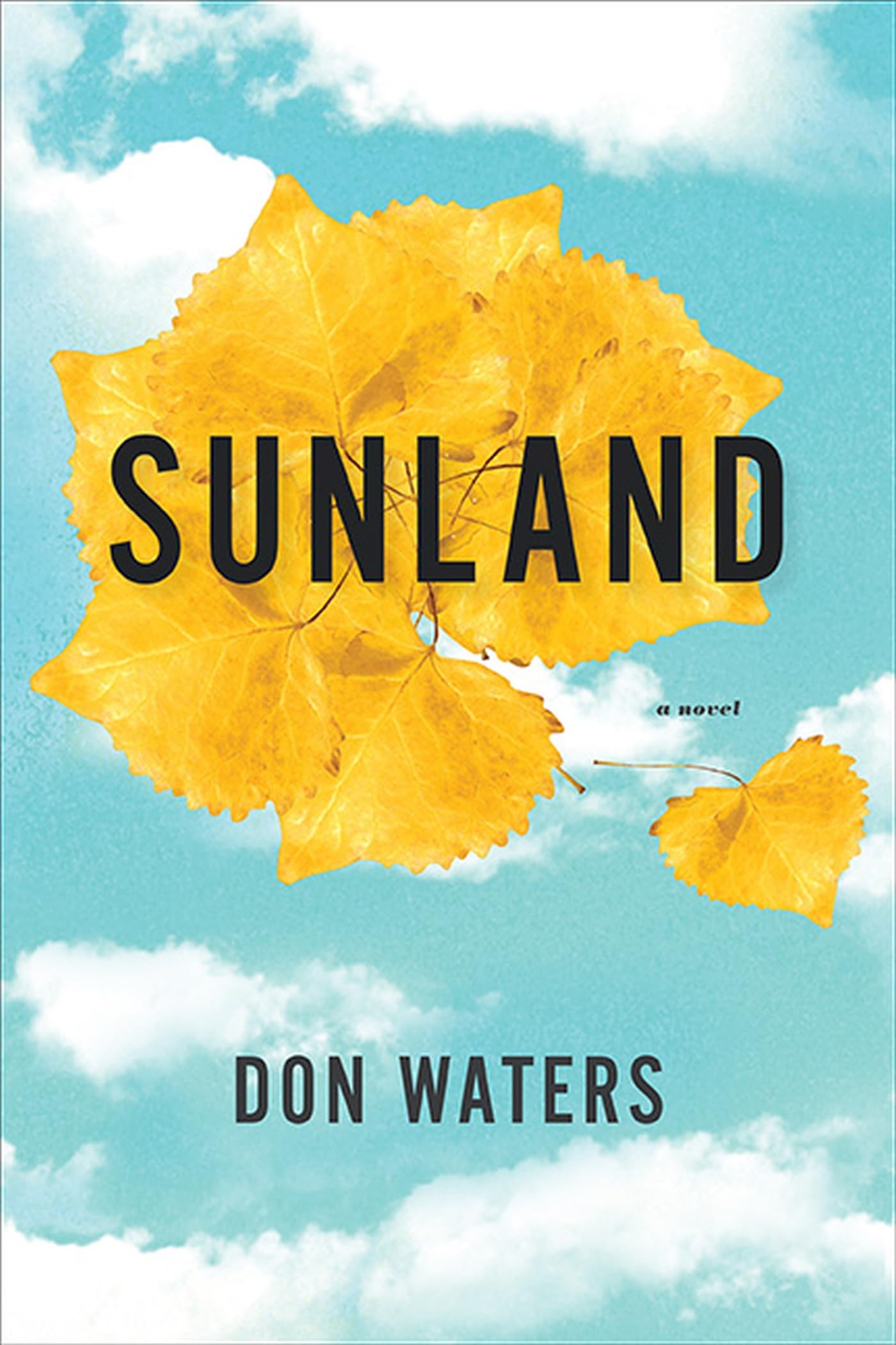 Sunland: A Novel (Western Literature and Fiction Series),New