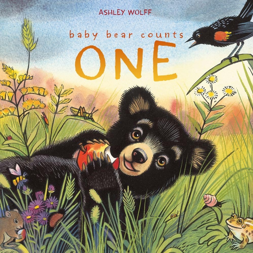 Baby Bear Counts One,Used