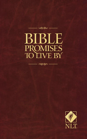 Bible Promises to Live By,Used