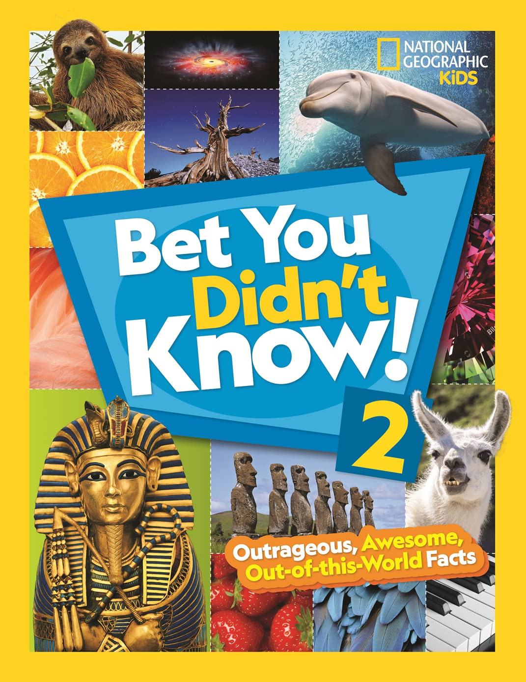 Bet You Didn't Know! 2: Outrageous, Awesome, OutofThisWorld Facts,Used
