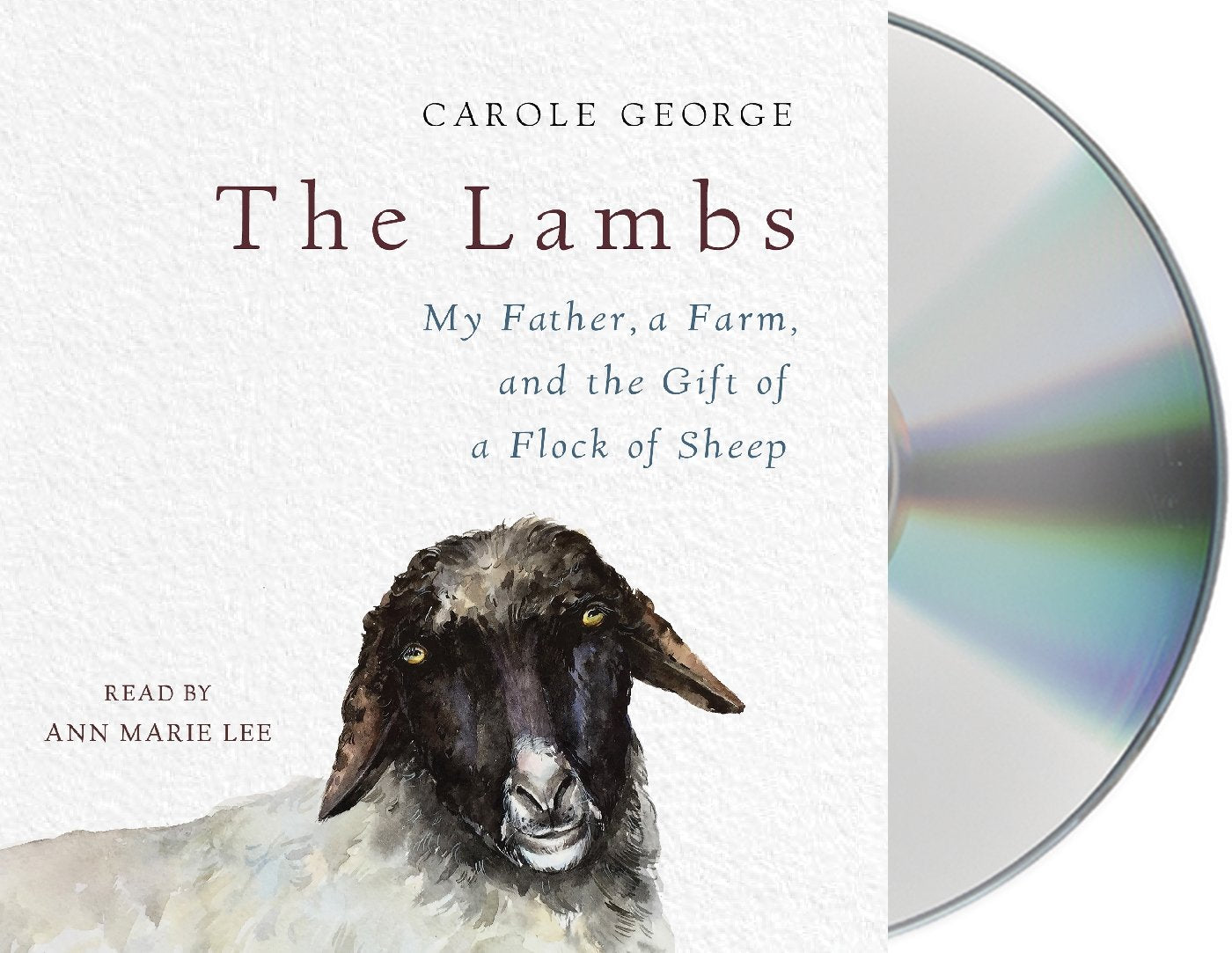 The Lambs: My Father, a Farm, and the Gift of a Flock of Sheep,Used
