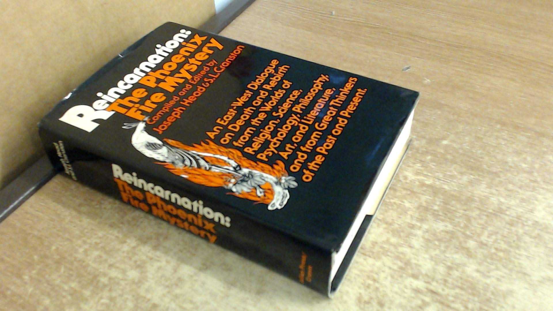 Reincarnation: The Phoenix Fire Mystery,Used