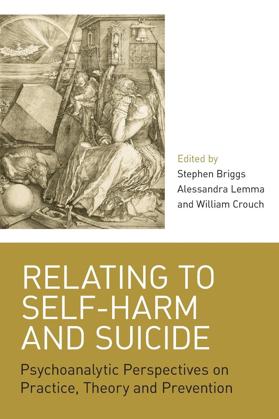 Relating to SelfHarm and Suicide: Psychoanalytic Perspectives on Practice, Theory and Prevention,Used