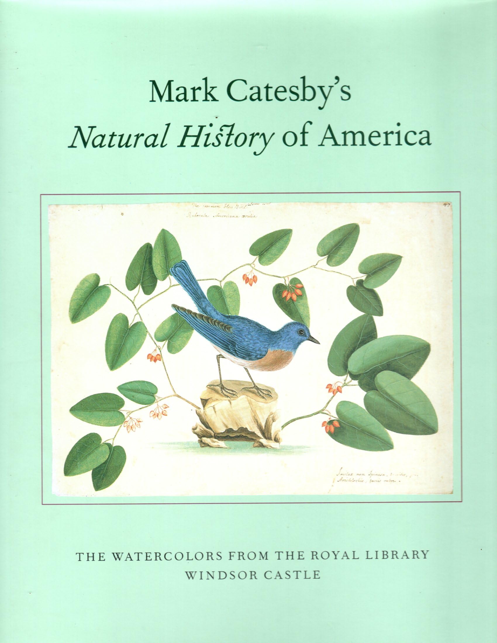 Mark Catesby's Natural History of America: The Watercolors from the Royal Library Windsor Castle,Used