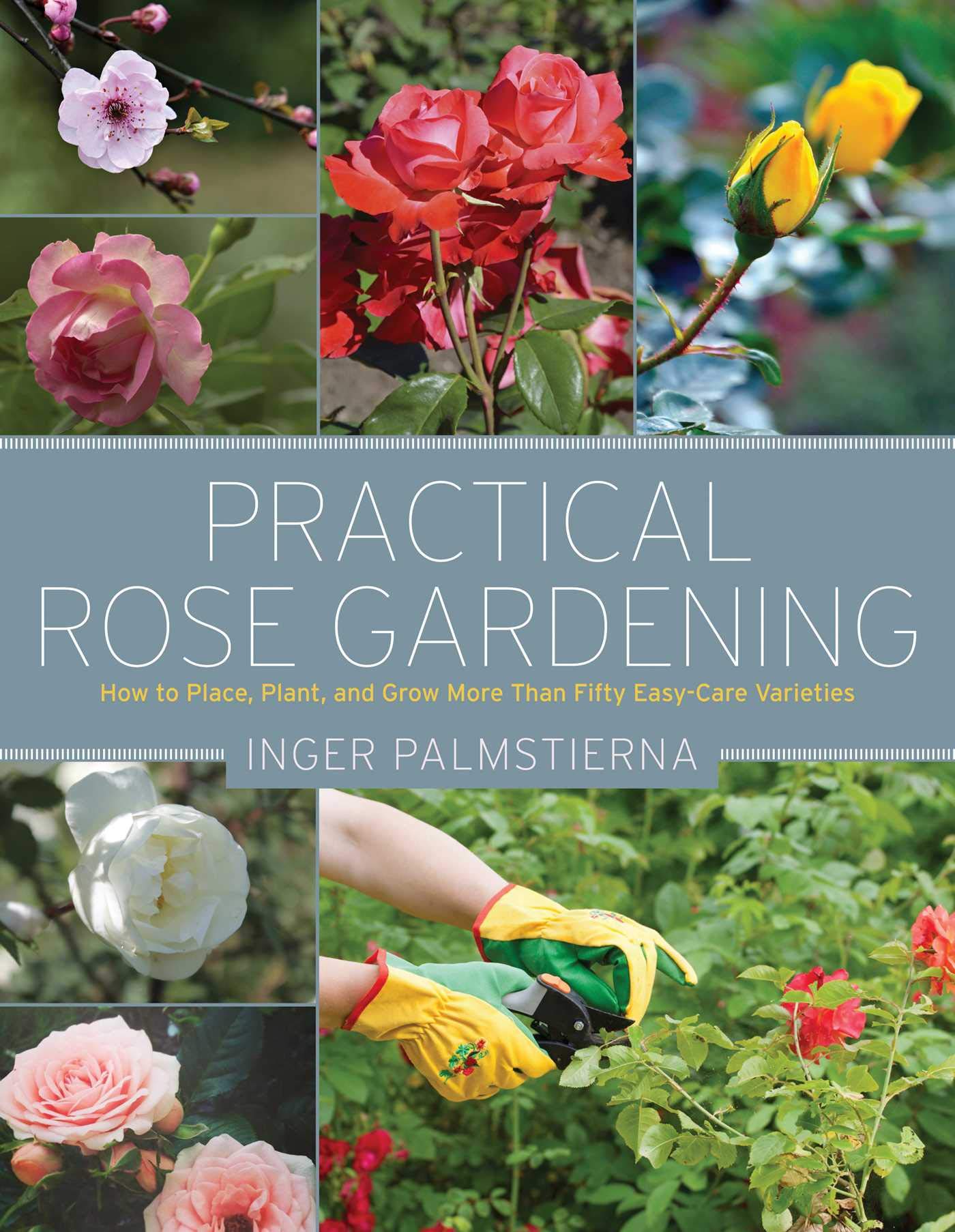 Practical Rose Gardening: How to Place, Plant, and Grow More Than Fifty EasyCare Varieties,Used