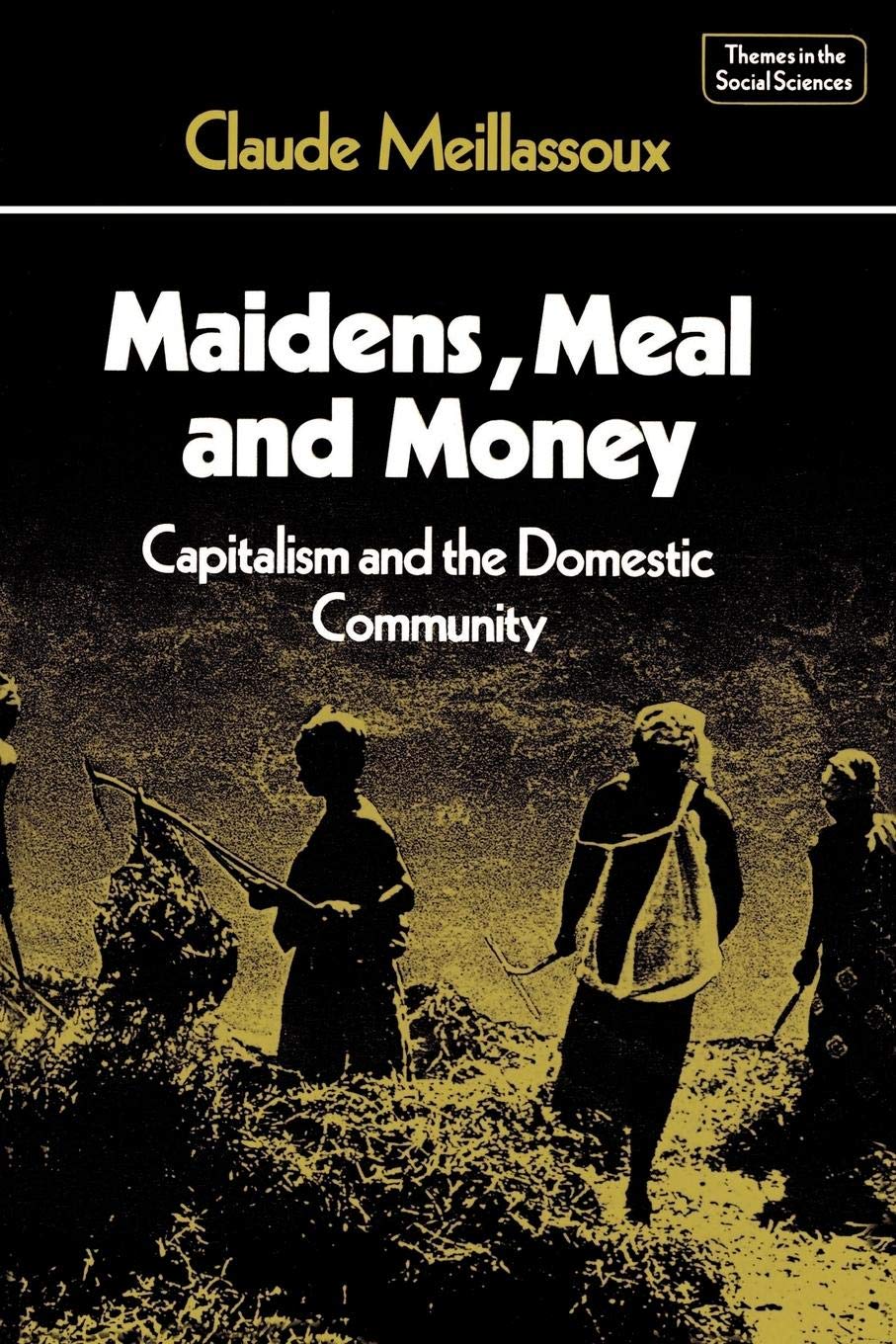 Maidens, Meal and Money: Capitalism and the Domestic Community (Themes in the Social Sciences),Used