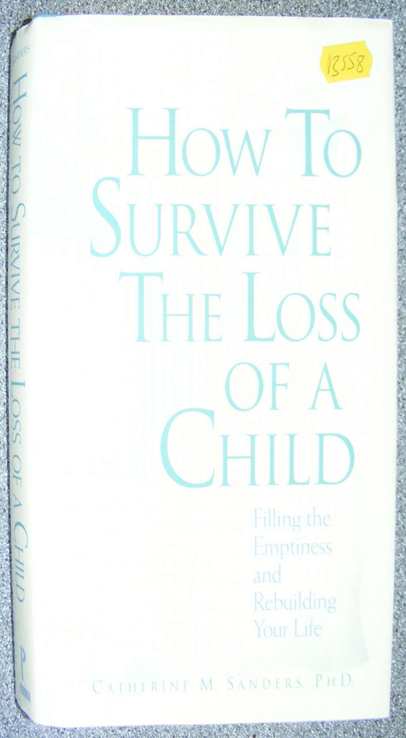 How to Survive the Loss of a Child,Used
